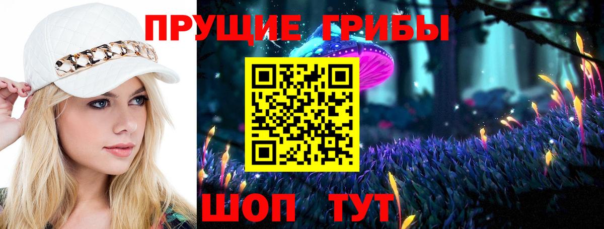 Волжск  Галлюциногенные грибы прущие грибы  Вход с VPN 