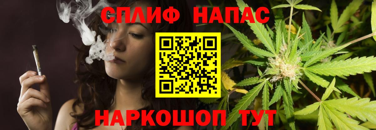 Бошки марихуана планчик  Бошки Шишки сатива  Вход с VPN  Волжск 